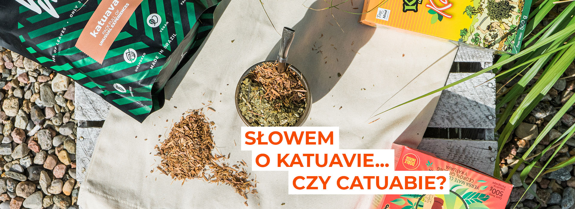   
  
  
  
  
  
  
  
  
   | ZielonyTarg.pl