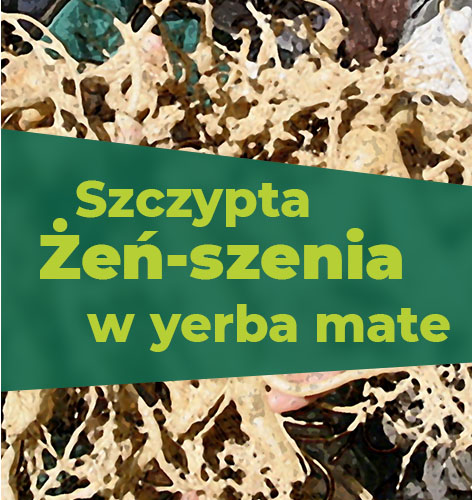  | ZielonyTarg.pl