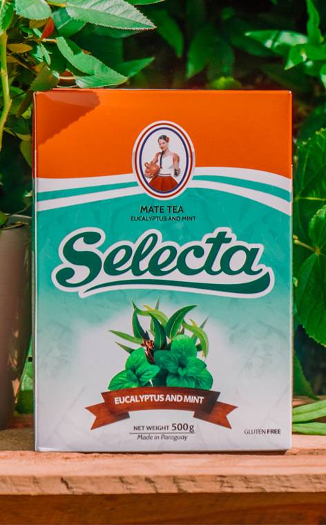 Selecta - Eucalipto y menta | yerba mate ziołowa | 500g